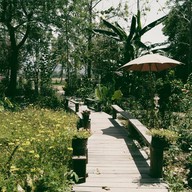 บรรยากาศ Bike Berry 10 Organic Farm