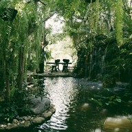 บรรยากาศ Bike Berry 10 Organic Farm