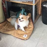 บรรยากาศ Fabruary Cafe'