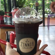 Zinnia