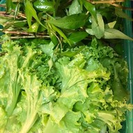 แหนมเนือง ท่าลานทอง ปากช่อง