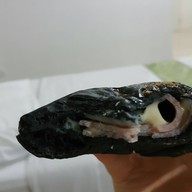 เมนูของร้าน Bakery&Cafe Hanabachi J Parkศรีราชา