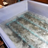 เมนูของร้าน กิ่งแก้ว ซีฟู้ด