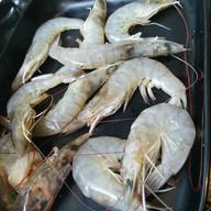 Teru Terubozu เทรุ-เทรุโบซุ