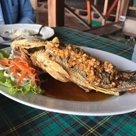 Zanom Sunrise Beach Resort
