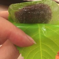 เมนูของร้าน Hai Pa Wang Restaurant