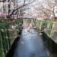 หน้าร้าน Johann Cheese Cake Naka-meguro