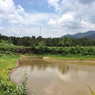 บรรยากาศ ครัวริมน้ำธารชะเมา