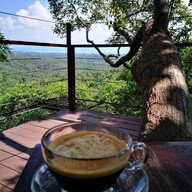 Tree Bridge Coffee