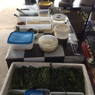 ขนมจีนบุฟเฟต์ 49 บาท