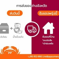 พีพีจ้อปู