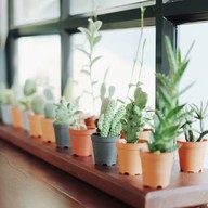 บรรยากาศ Piccolo Cafe'