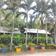 บรรยากาศ บ้านต้นไม้