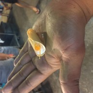 เมนูของร้าน ขนมเบื้องเจ้เจี๊ยบ ตลาดโต้รุ่งหัวหิน