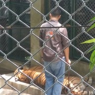 คุ้มเสือ แม่ริม เชียงใหม่