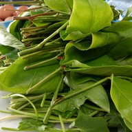 เมนูของร้าน ร้านขนมจีนพังงา