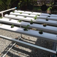 บรรยากาศ แม่หญิง โตเกียว