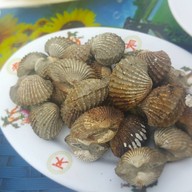 เมนูของร้าน ติดลม ซีฟู๊ด