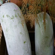 ไร่รักวิมน