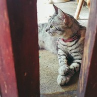 บรรยากาศ คำนำ