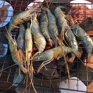 ตังค์เต็มกุ้งย่าง จันทรเกษม