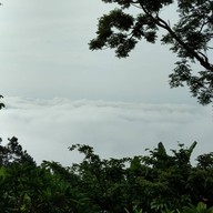 ห้องอาหารดอยตุงลอดจ์