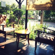 กาแฟวาวี เดอฟอร์เรส แอด เย็นอากาศ