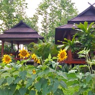 หน้าร้าน Lemongrass @ Nan Seasons