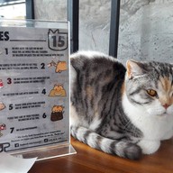 CAT 'n' A CUP