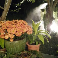 White Garden Chiang Mai