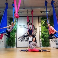 Three Studio Yoga Fly and Pilates