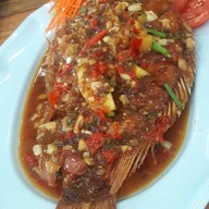 ครัวตัสนีม