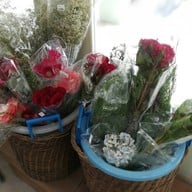 โครงการหลวง รพ.รามาธิบดี รพ.รามาธิบดี