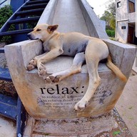 บรรยากาศ Pause Resort & Bar