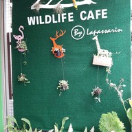 หน้าร้าน Wildlife Cafe