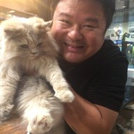 Hug Meow Cafe