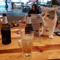 Hug Meow Cafe