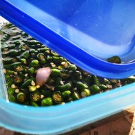 เมนูของร้าน ข้าวแกงเจ๊พร (เจ้าเก่า)