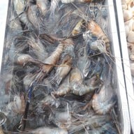ครัวแม่พรเนื้อย่างเกาหลี (โขงเจียม)