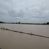 บรรยากาศ แพเค ปลาแม่น้ำ