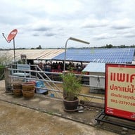 หน้าร้าน แพเค ปลาแม่น้ำ