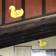 บรรยากาศ ก๋วยเตี๋ยวเป็ดในสวน