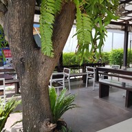 The Tree Cafe'