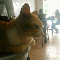 เอี้ยย่งเฮง