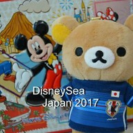 Curry Popcorn Tokyo DisneySea