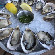 Hog Island Oyster Co.