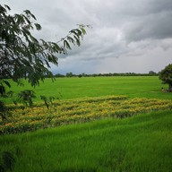 บรรยากาศ บาร์โค้ด