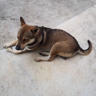 บรรยากาศ บ้านฮอลันดา