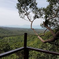 บรรยากาศ Tree Bridge Coffee