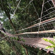 บรรยากาศ Tree Bridge Coffee